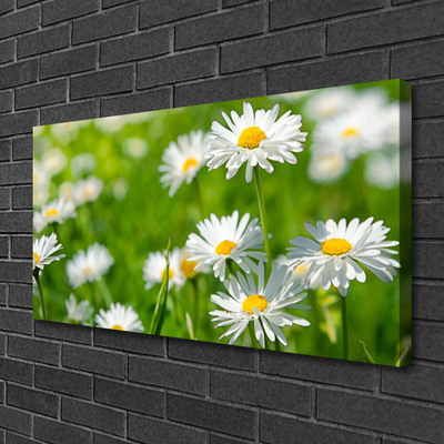 Canvas Wall art Daisy floral yellow white