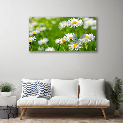 Canvas Wall art Daisy floral yellow white