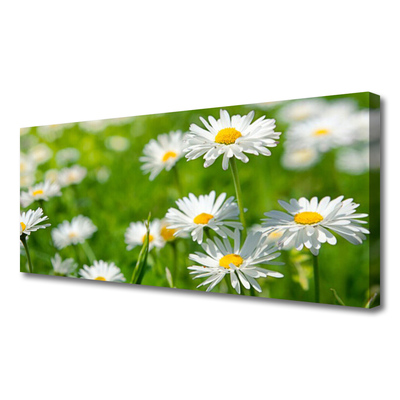 Canvas Wall art Daisy floral yellow white