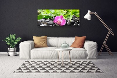 Canvas Wall art Flower leaves stones art pink green black