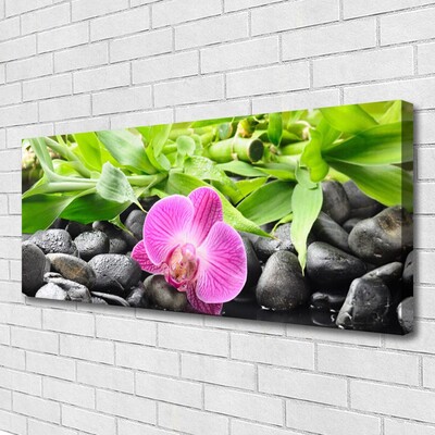 Canvas Wall art Flower leaves stones art pink green black