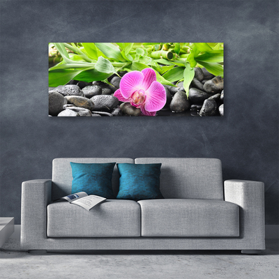 Canvas Wall art Flower leaves stones art pink green black