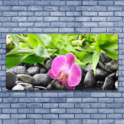 Canvas Wall art Flower leaves stones art pink green black