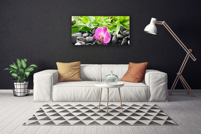 Canvas Wall art Flower leaves stones art pink green black