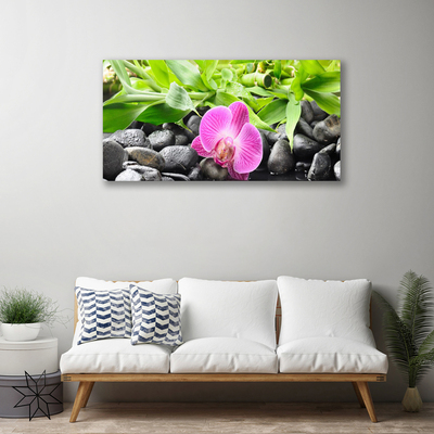 Canvas Wall art Flower leaves stones art pink green black