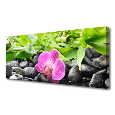 Canvas Wall art Flower leaves stones art pink green black