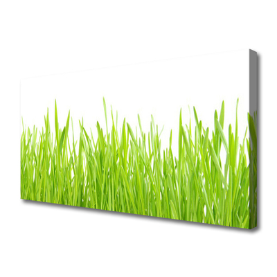 Canvas Wall art Grass nature green