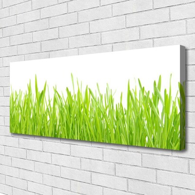 Canvas Wall art Grass nature green