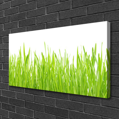 Canvas Wall art Grass nature green