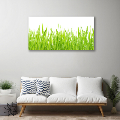 Canvas Wall art Grass nature green