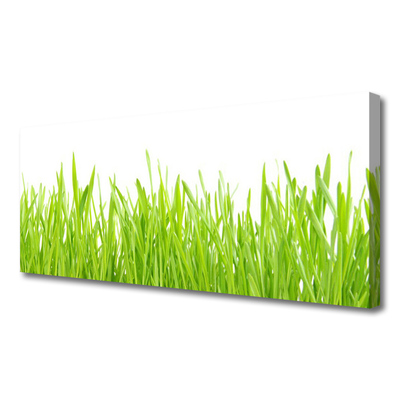 Canvas Wall art Grass nature green