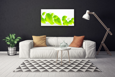 Canvas Wall art Leaves floral green