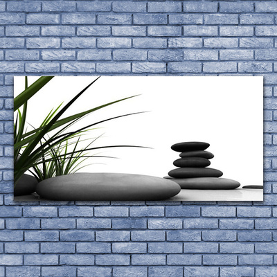 Canvas Wall art Grass stones art green grey