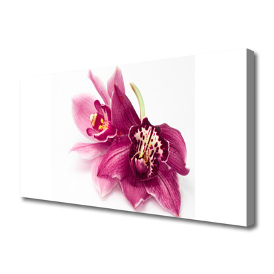 Canvas Wall art Flowers floral red