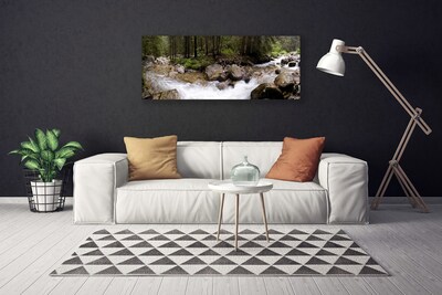 Canvas Wall art Forest brook stones nature brown green white grey