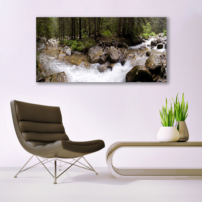 Canvas Wall art Forest brook stones nature brown green white grey
