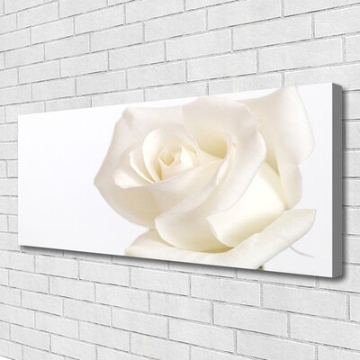 Canvas Wall art Rose floral white