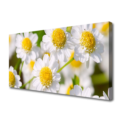 Canvas Wall art Daisy floral yellow white