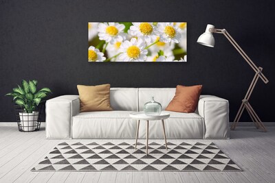 Canvas Wall art Daisy floral yellow white