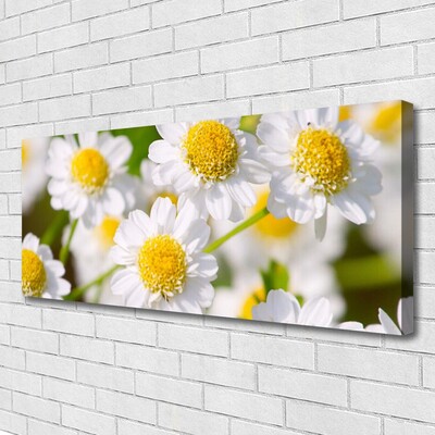 Canvas Wall art Daisy floral yellow white