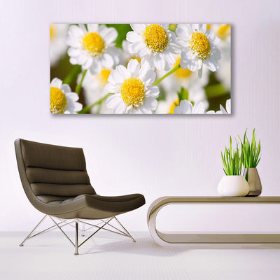 Canvas Wall art Daisy floral yellow white