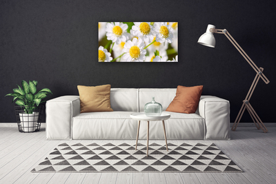 Canvas Wall art Daisy floral yellow white