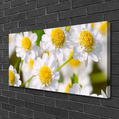 Canvas Wall art Daisy floral yellow white