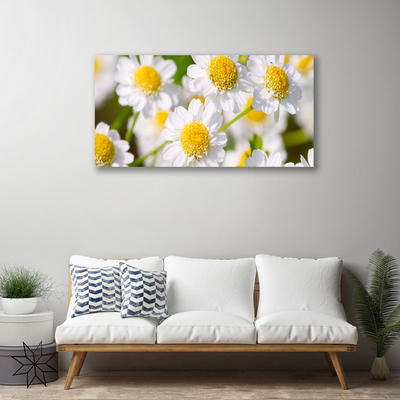 Canvas Wall art Daisy floral yellow white