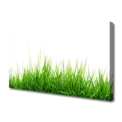 Canvas Wall art Grass nature green