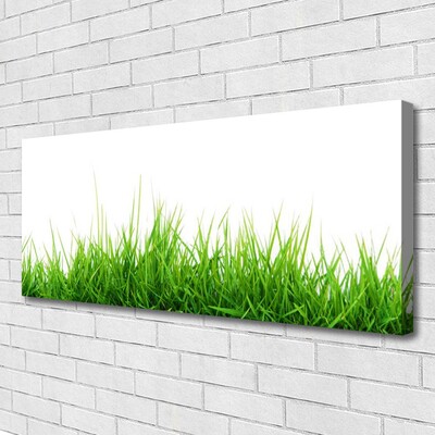 Canvas Wall art Grass nature green