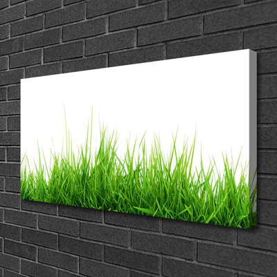 Canvas Wall art Grass nature green