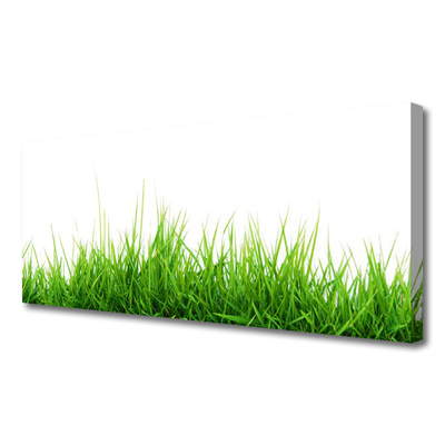 Canvas Wall art Grass nature green