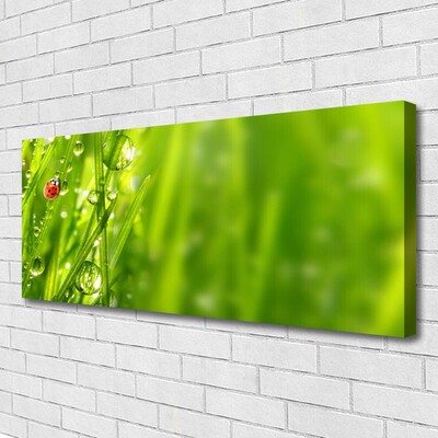 Canvas Wall art Grass ladybug nature grey red black