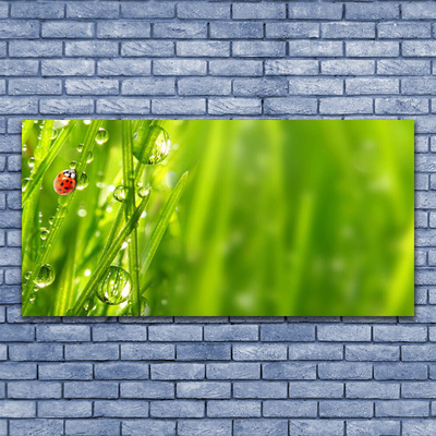 Canvas Wall art Grass ladybug nature grey red black