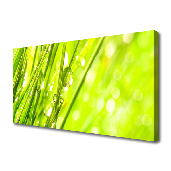 Canvas Wall art Weed nature green