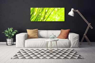 Canvas Wall art Weed nature green