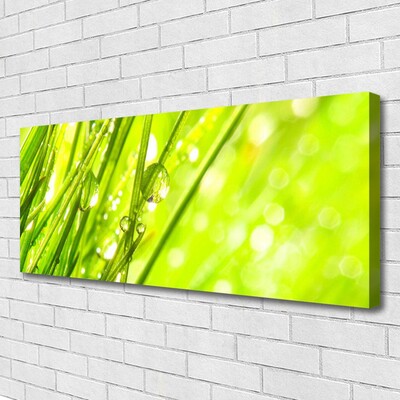 Canvas Wall art Weed nature green