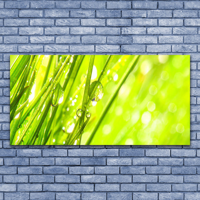 Canvas Wall art Weed nature green