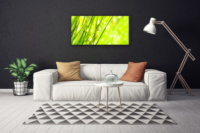 Canvas Wall art Weed nature green