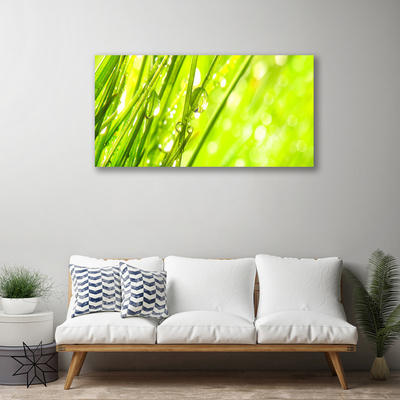 Canvas Wall art Weed nature green