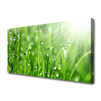 Canvas Wall art Grass nature green