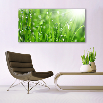 Canvas Wall art Grass nature green