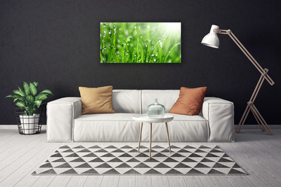 Canvas Wall art Grass nature green