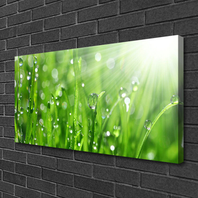 Canvas Wall art Grass nature green