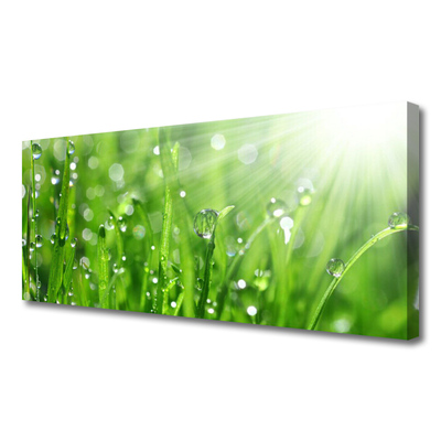 Canvas Wall art Grass nature green