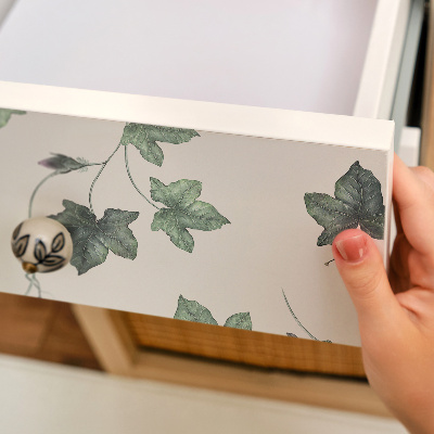Furniture vinyl wrap Ivy leaves