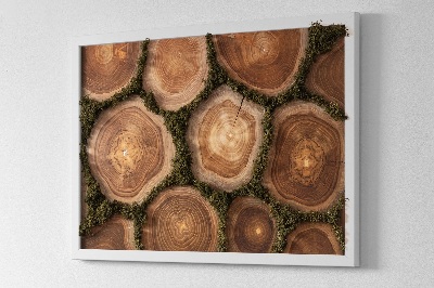 Wall moss art Cross-section of a tree trunk