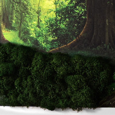 Preserved moss wall art Tropical jungle