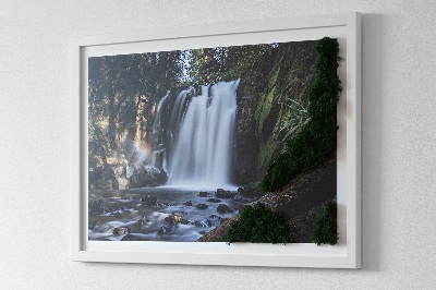 Moss wall art Waterfall surrounded by trees