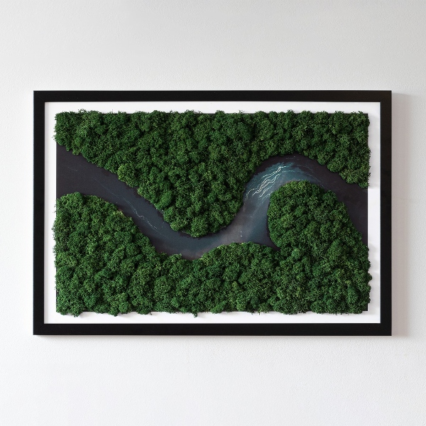 Green moss wall art River in a wilderness